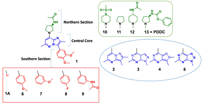 A novel and potent brain penetrant inhibitor of extracellular vesicle release