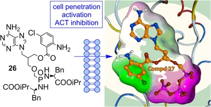 Design and Synthesis of Fluorescent Acyclic Nucleoside Phosphonates as Potent Inhibitors of Bacterial Adenylate Cyclases