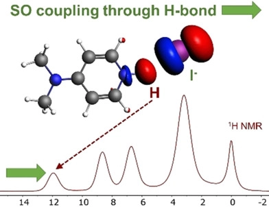 Experimental and Theoretical Evidence of Spin‐Orbit Heavy Atom on the Light Atom <sup>1</sup>H NMR Chemical Shifts Induced through H⋅⋅⋅I<sup>−</sup> Hydrogen Bond 