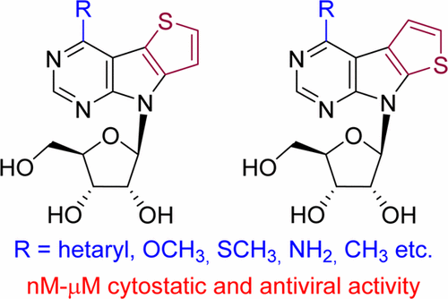 Synthesis and Cytostatic and Antiviral Profiling of Thieno-Fused 7-Deazapurine Ribonucleosides