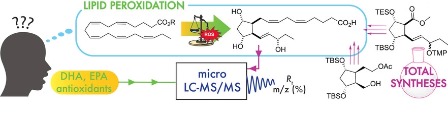 First Total Syntheses of Novel Non-Enzymatic Polyunsaturated Fatty Acid Metabolites and Their Identification in Edible Oils