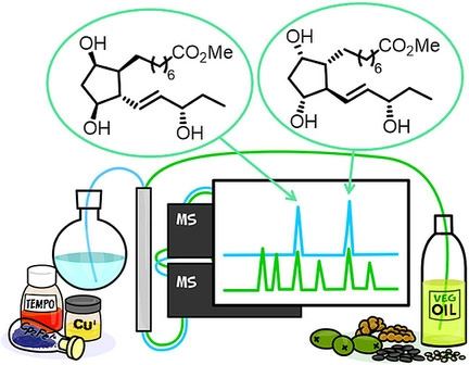 First Total Synthesis of Phytoprostanes with Prostaglandin-Like Configuration, Evidence for Their Formation in Edible Vegetable Oils and Orienting Study of Their Biological Activity