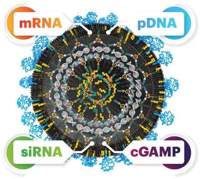Lipid Nanoparticles for Broad-Spectrum Nucleic Acid Delivery