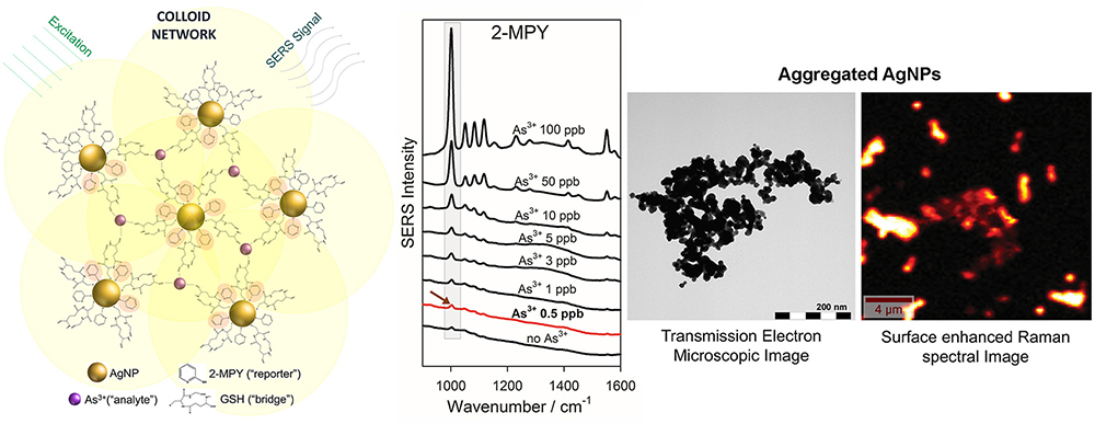 Aggregation-aided SERS: Selective detection of arsenic by surface-enhanced Raman spectroscopy facilitated by colloid cross-linking