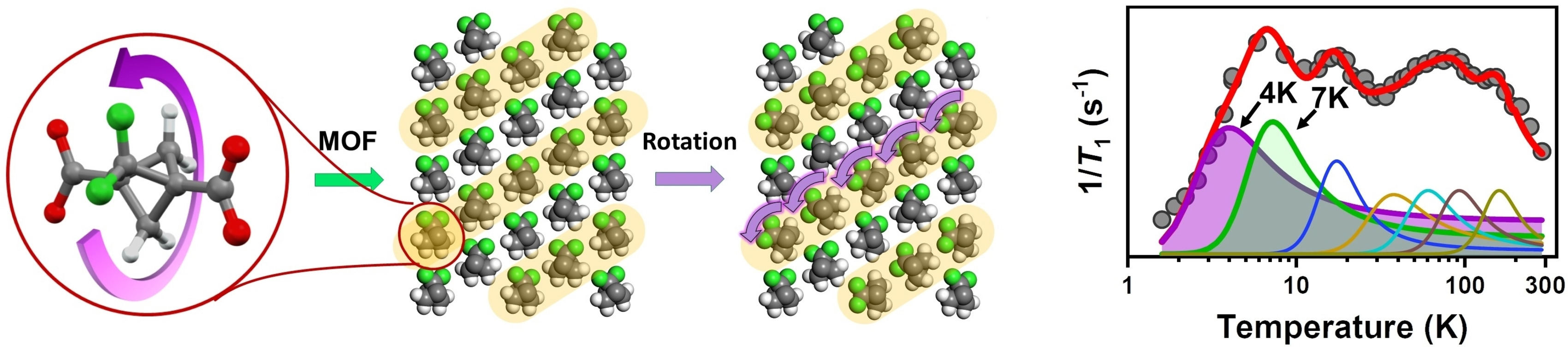 Benchmark Dynamics of Dipolar Molecular Rotors in Fluorinated Metal-Organic Frameworks