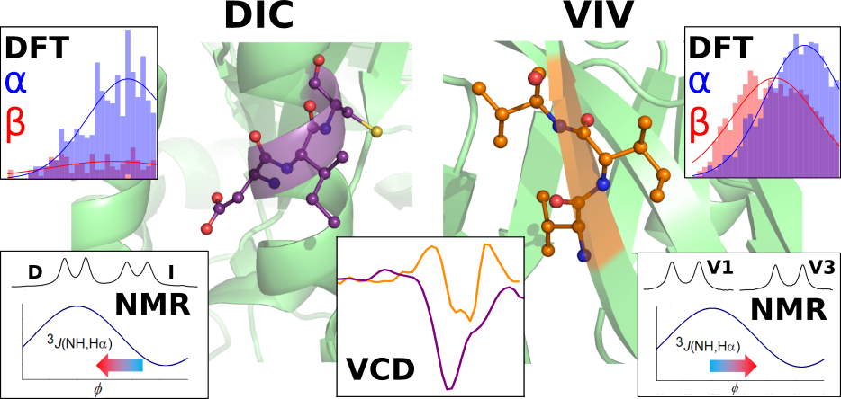 What are the minimal folding seeds in proteins? Experimental and theoretical assessment of secondary structure propensities of small peptide fragments