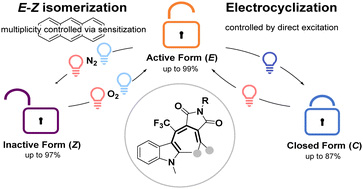 Multiplicity-driven photochromism controls three-state fulgimide photoswitches