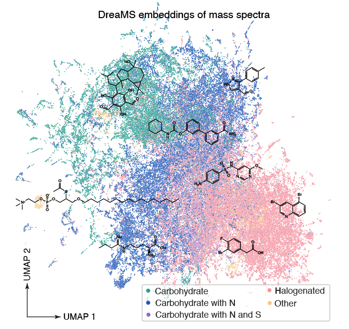Self-supervised learning of molecular representations from millions of tandem mass spectra using DreaMS