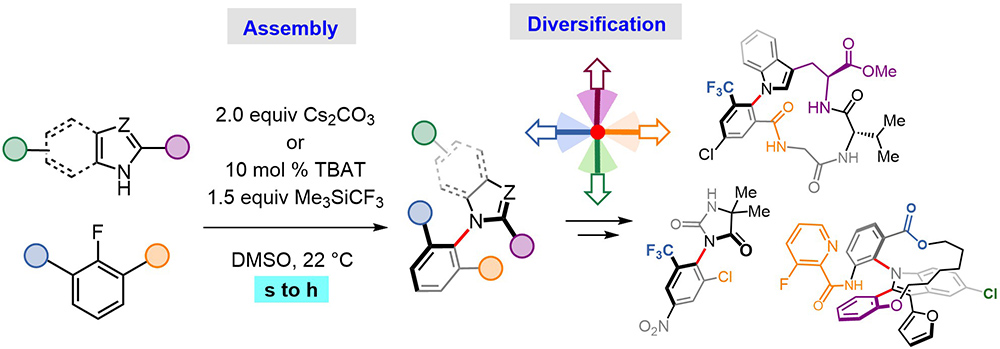 Nucleophilic aromatic substitutions enable diversity-oriented synthesis of heterocyclic atropisomers via non-atropisomeric intermediates