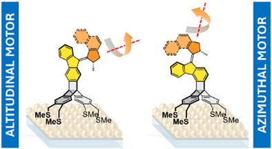 Surface-Decoupled Altitudinal and Azimuthal Triptycene-Fused Tetrapodal Molecular Motors