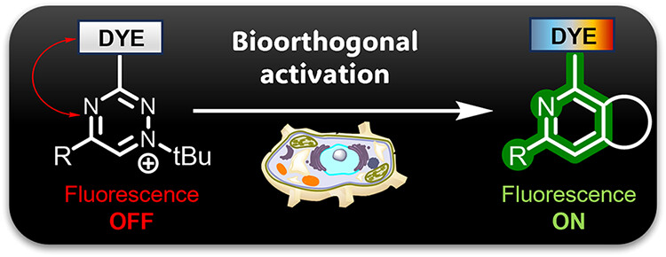 Fluorescence Quenching Properties and Bioimaging Applications of Readily Accessible Blue to Far-Red Fluorogenic Triazinium Salts