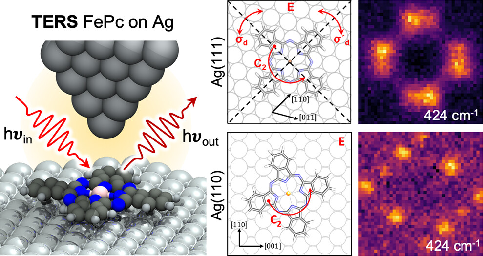 Adsorption-Driven Symmetry Lowering in Single Molecules Revealed by Ångstrom-Scale Tip-Enhanced Raman Imaging
