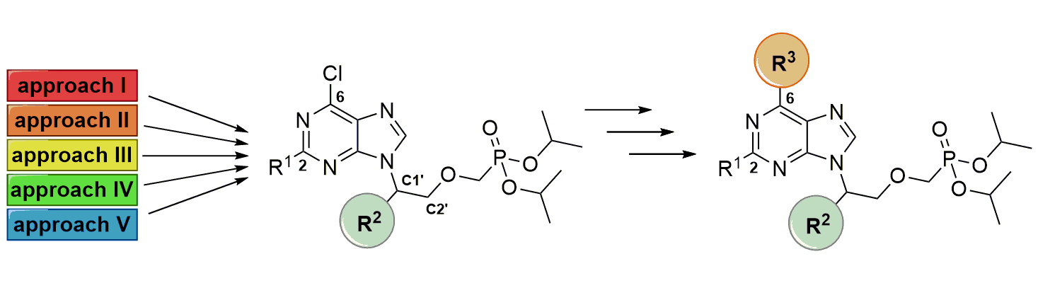 Synthesis of C1'-branched acyclic nucleoside phosphonates