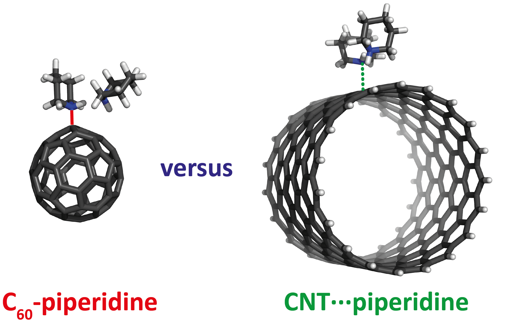 On the new character of complexes of fullerenes with piperidine: evidence of N→C dative/covalent bond