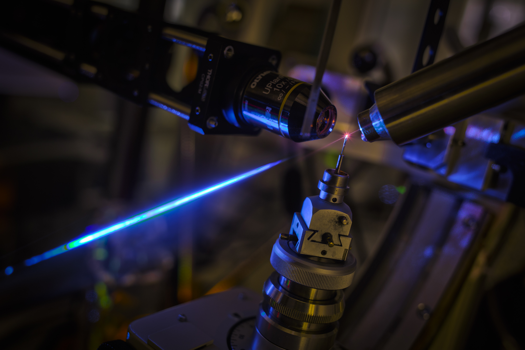 Krystal červeného fluorescentního proteinu umístěný v kombinovaném přístroji sestávajícím z fluorescenčního mikroskopu a rentgenového difraktometru. Krystal fluoreskuje červeně při osvětlení modrým laserovým svazkem. (Foto: Petr Pachl / ÚOCHB)