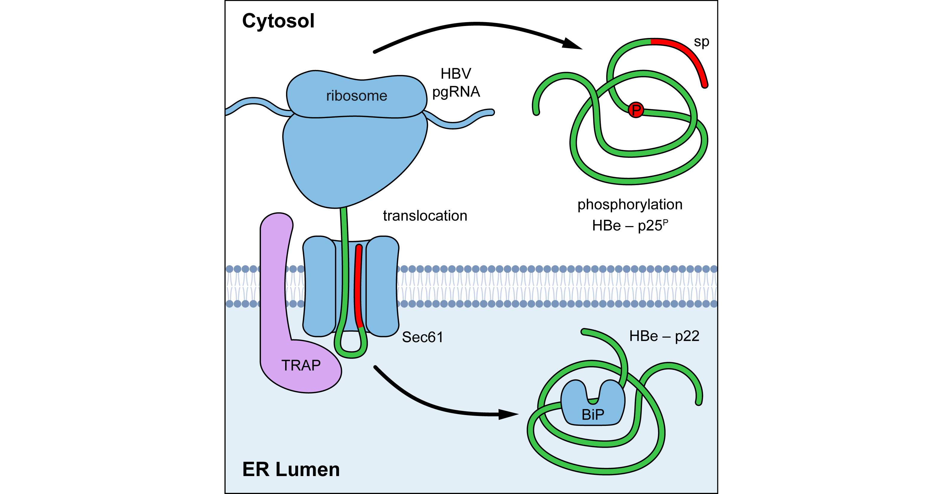 Мойынсұнғыш құл өз иесіне куннилингус жасайды