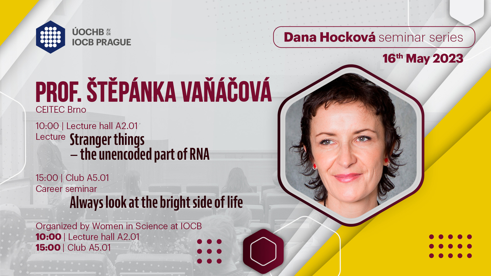 Dana Hocková Lecture: Štěpánka Vaňáčová