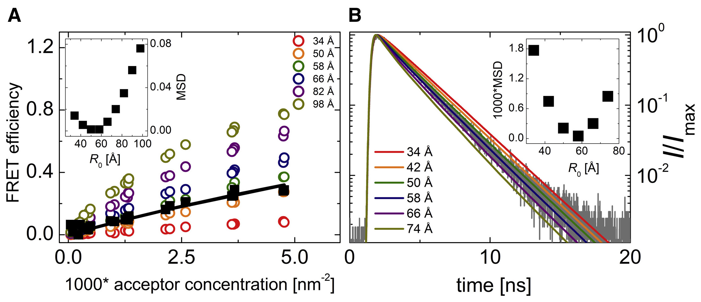 Membrane protein dimerization in cell-derived lipid membranes