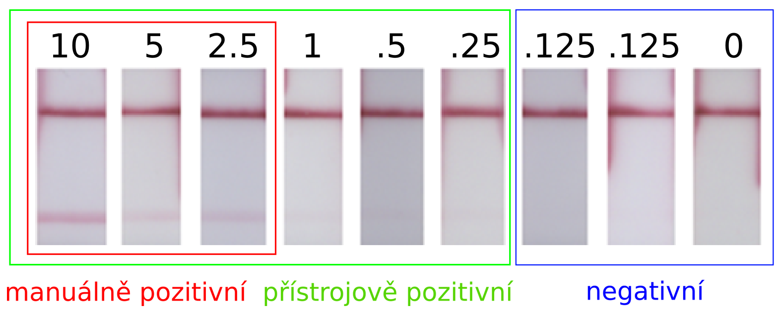 Vědci vyvinuli rychlý a snadný způsob porovnání antigenních testů na SARS-CoV-2