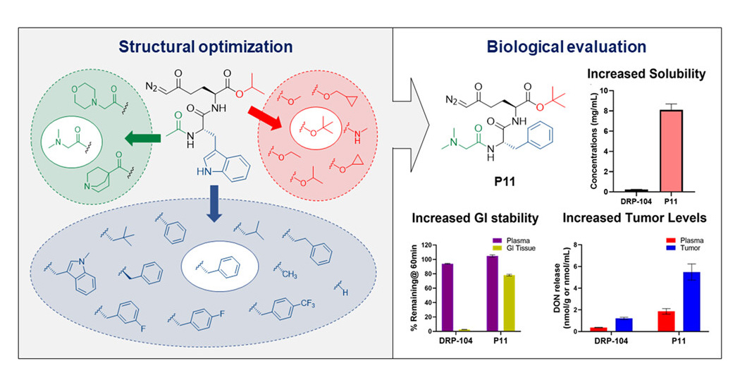 Novel prodrugs of a glutamine antagonist for treatment of solid tumors