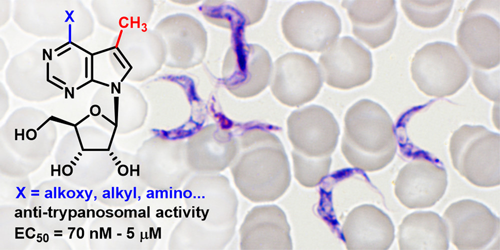 Substituted 7-deazapurine ribonucleosides as antiparasitic agents