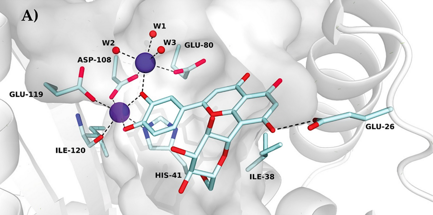 Luteolin derivatives as potent influenza endonuclease inhibitors