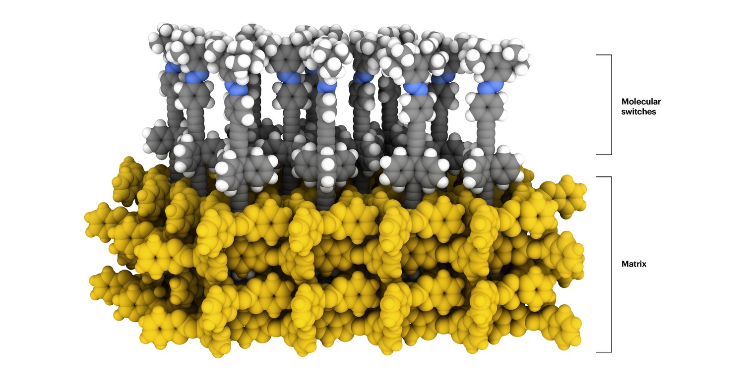 NMR confirms molecular switches retain function in 2Darray