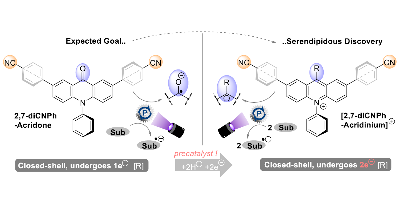 Acridinium salts as potent photooxidants