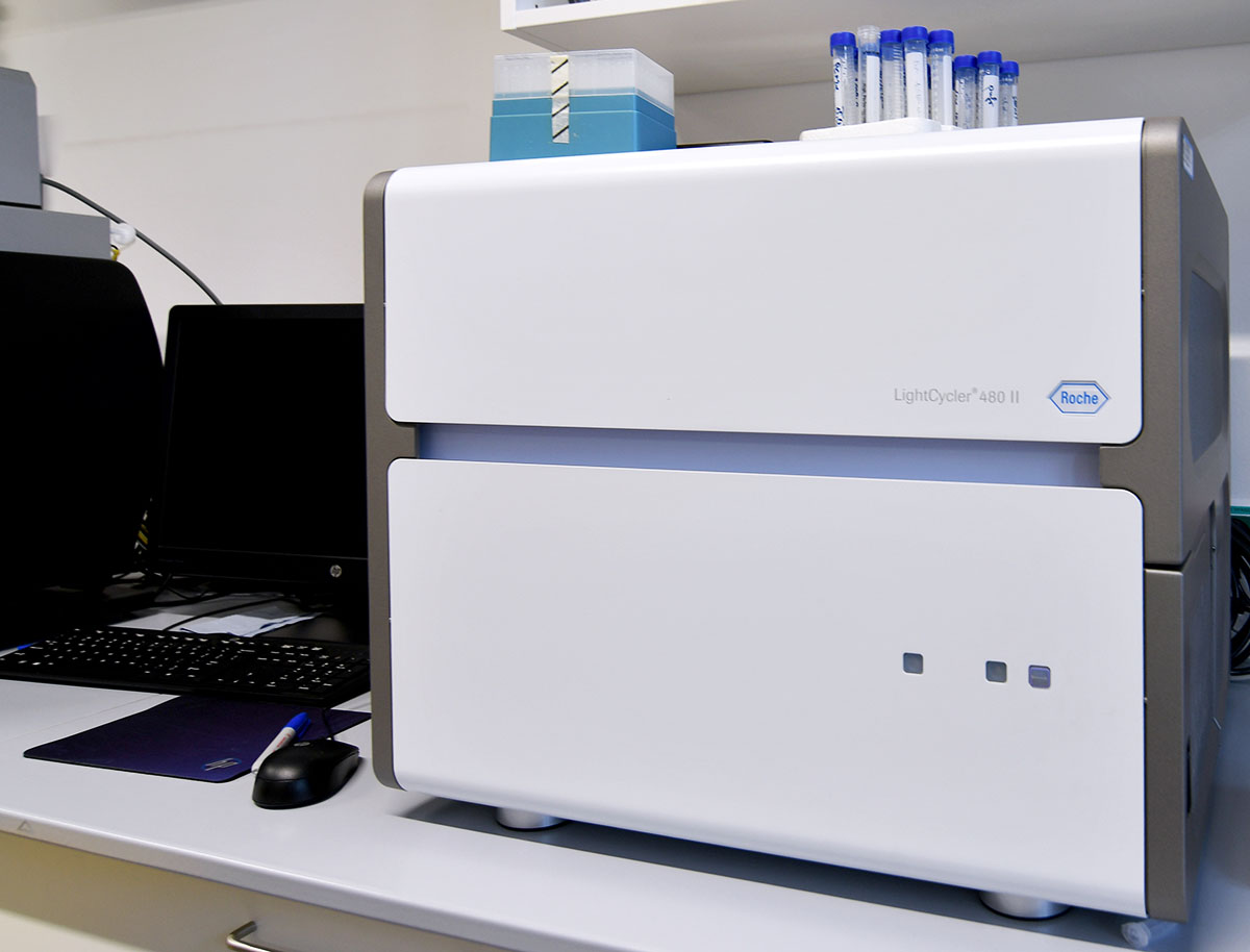 3 × Roche LightCycler 480 II