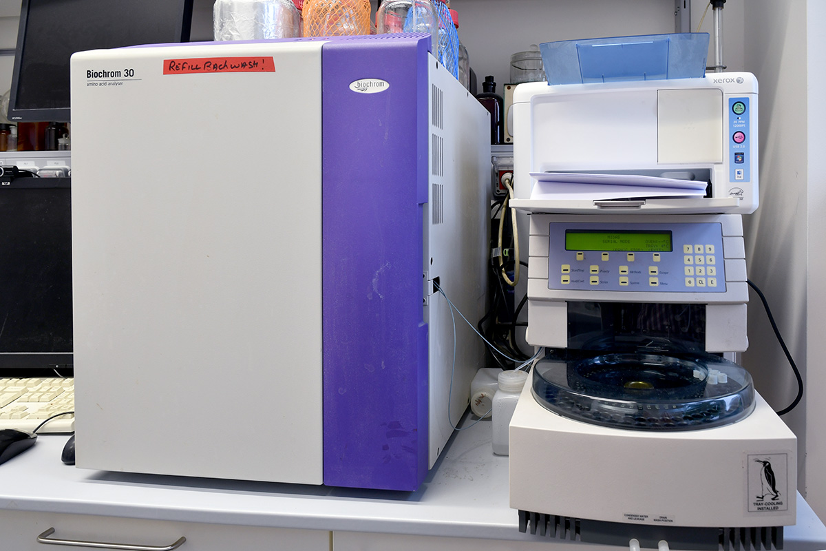 Biochrom 30 Amino Acid Analyser