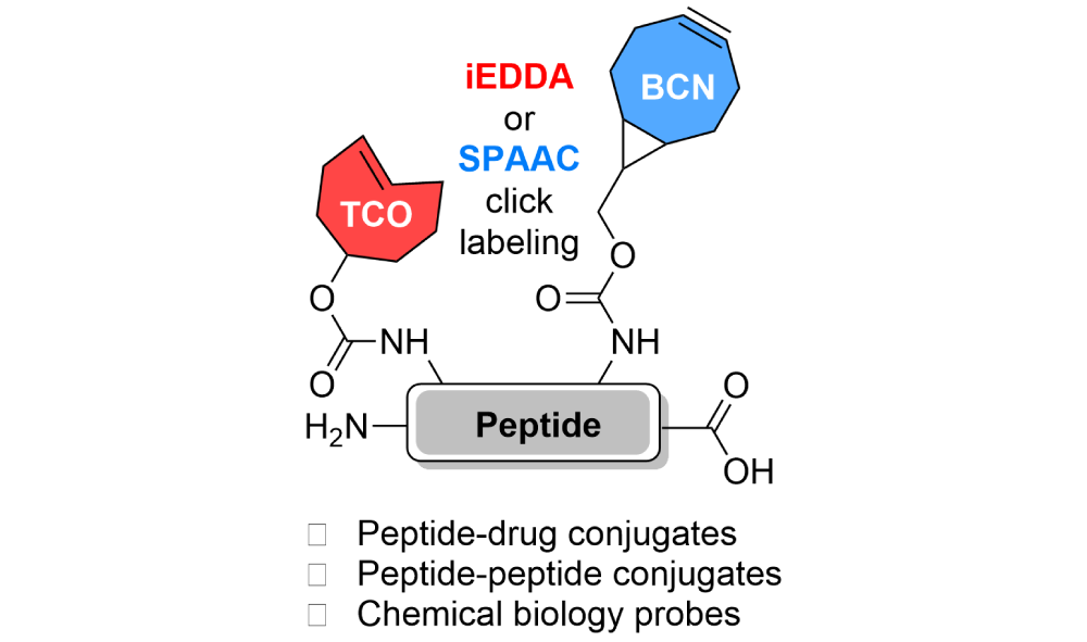 Easy access to modified peptides suitable for bioorthogonal reactions