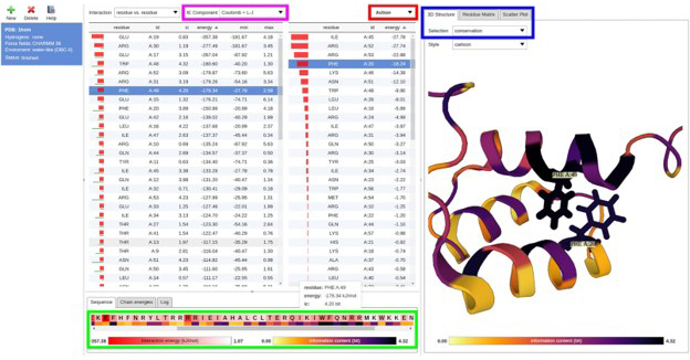 Amino Acid Interactions (INTAA) web server v2.0