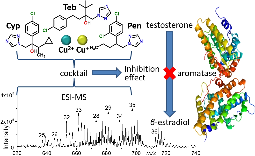 Copper-triazole cocktail effect investigated