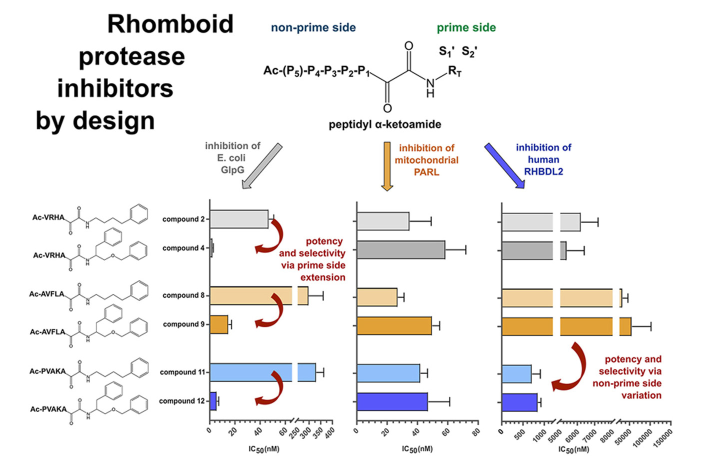 Ketoamide derivatives as rhomboid proteases inhibitors