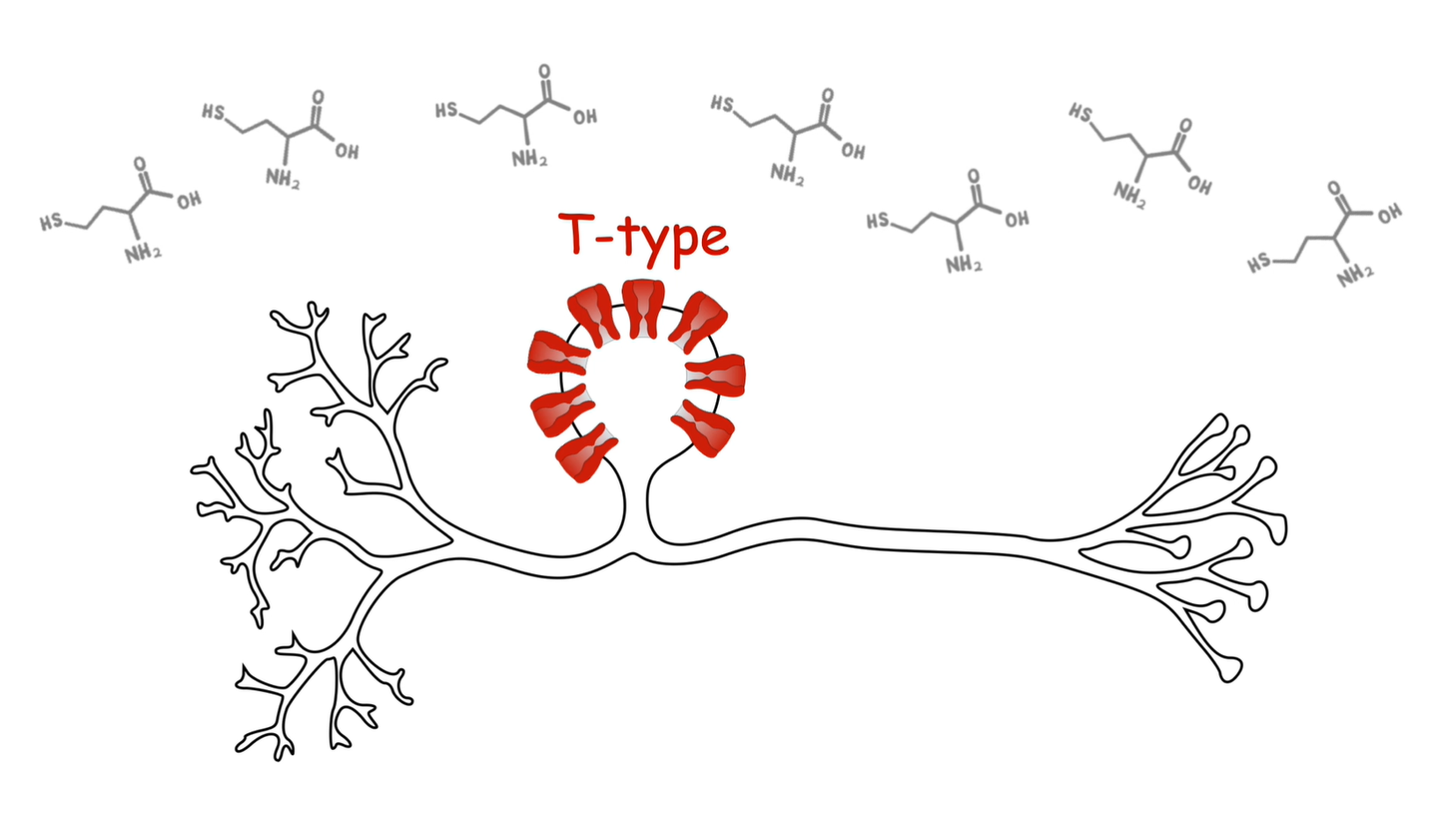 Chronic pain driven by metabolic dysfunction