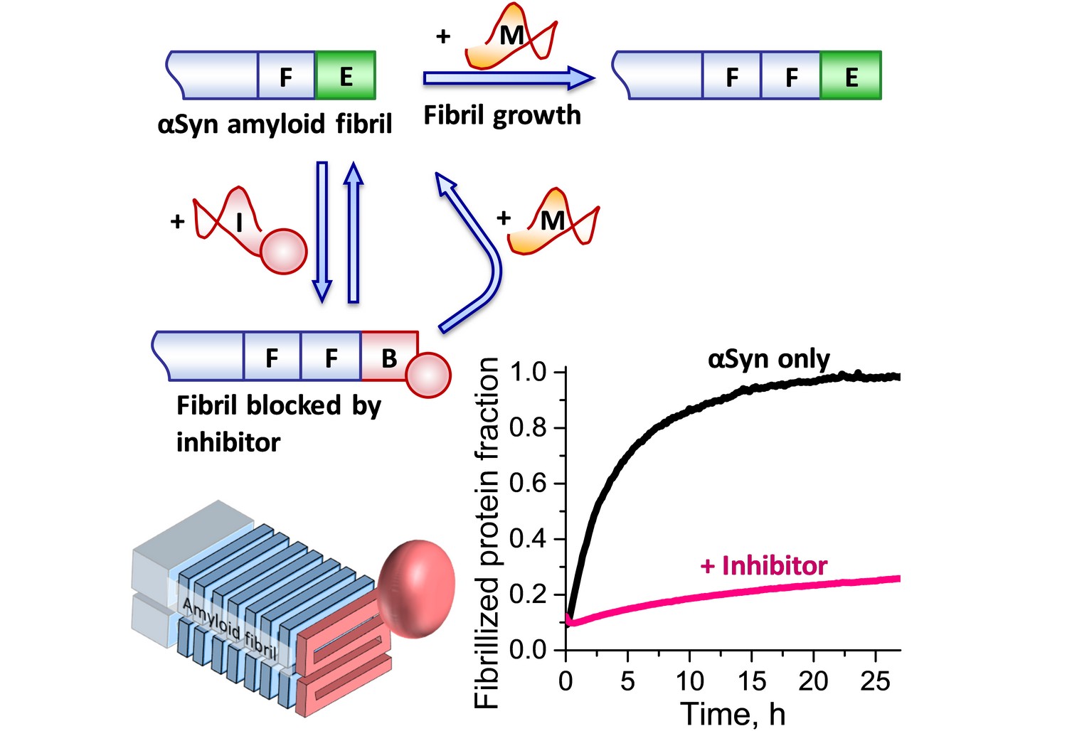 A new inhibitor of protein aggregation associated with Parkinson’s disease from Dmytro Yushchenko Group