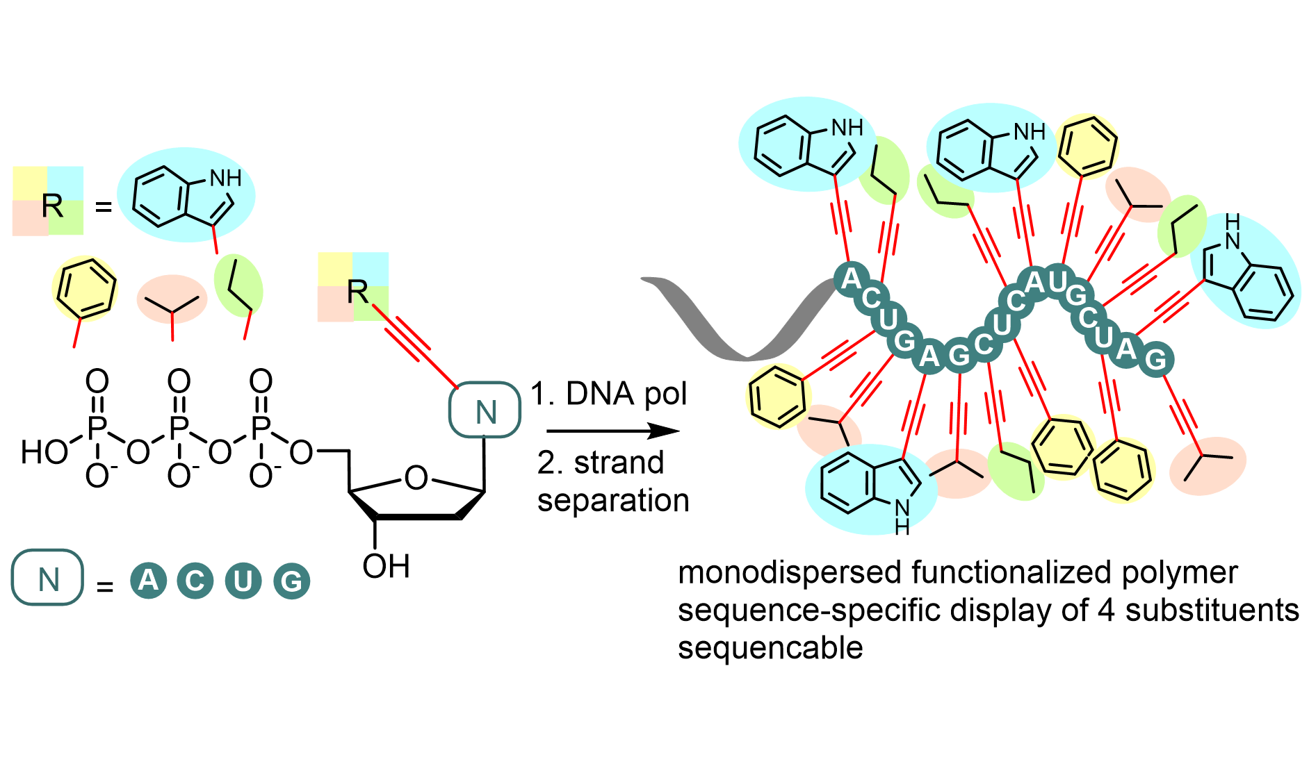Enzymatic synthesis of hypermodified DNA