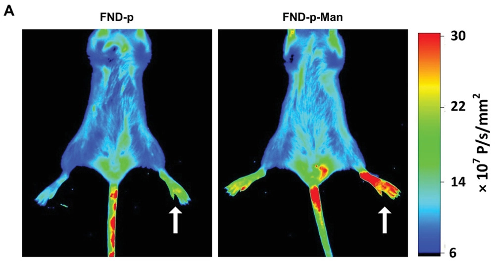 Nanodiamonds for visualizing lymph nodes