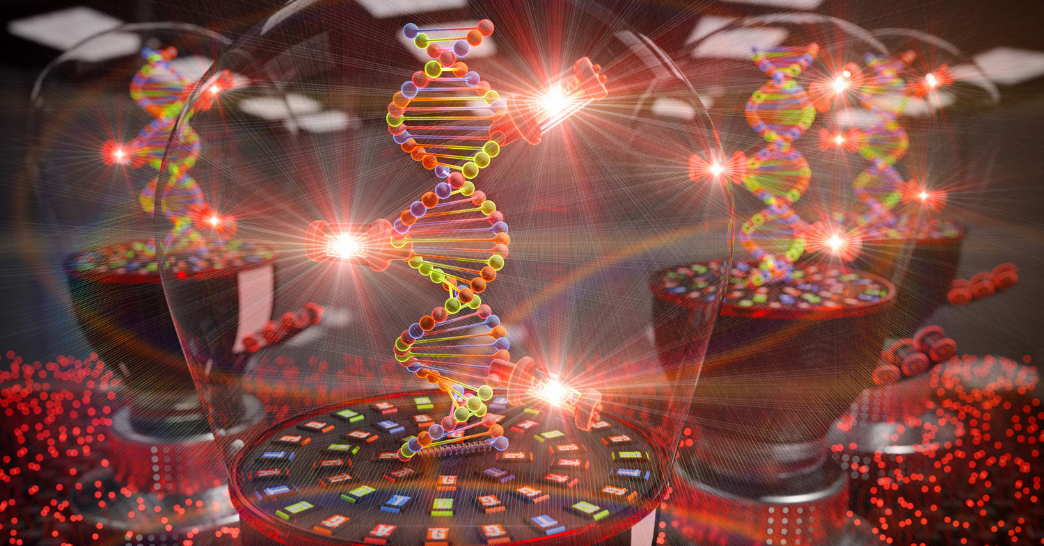 Light-up nucleotide for visualization of DNA synthesis