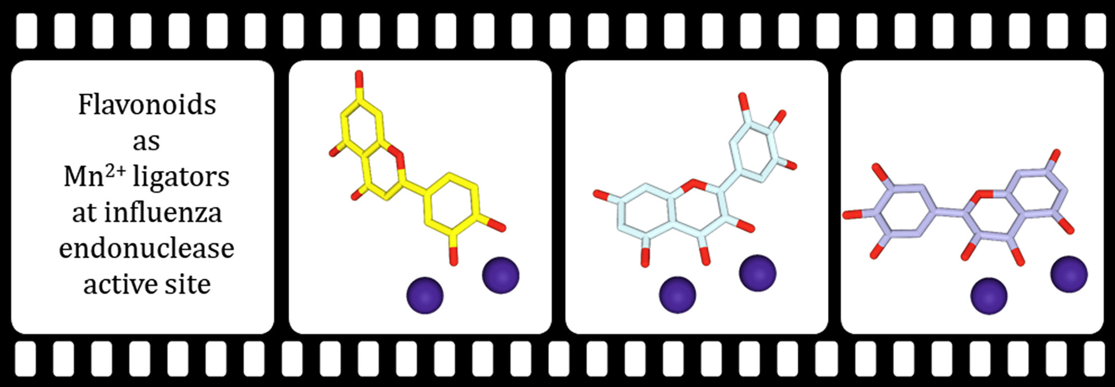 Unraveling the anti-influenza effect of flavonoids