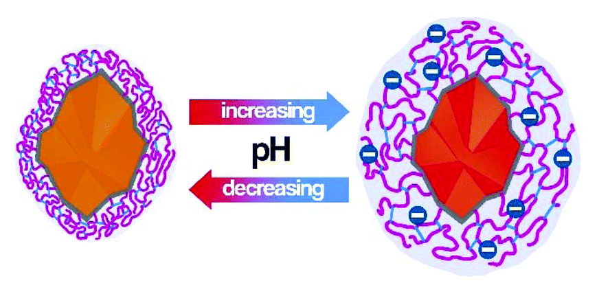 Highly photostable fluorescent nanosensor