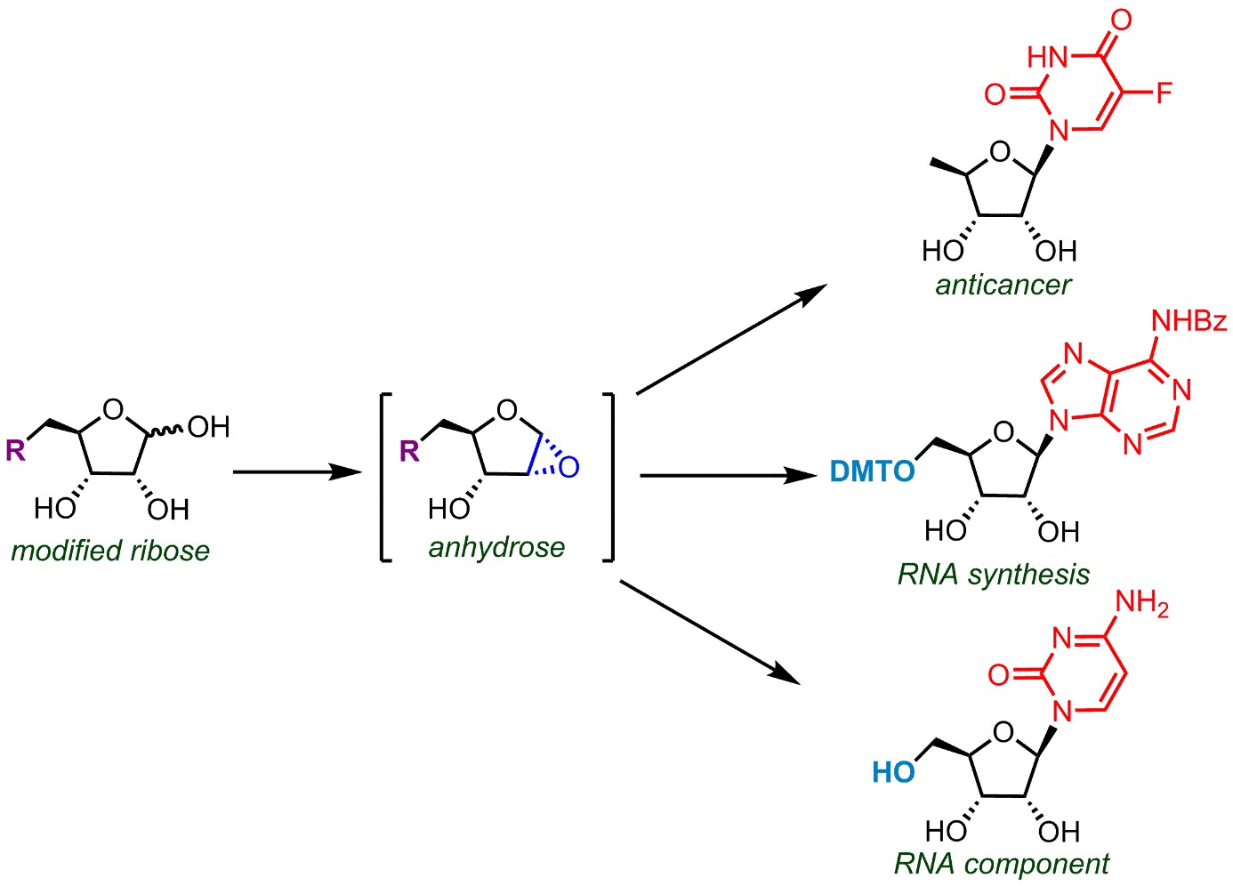Novel straightforward synthesis of nucleosides