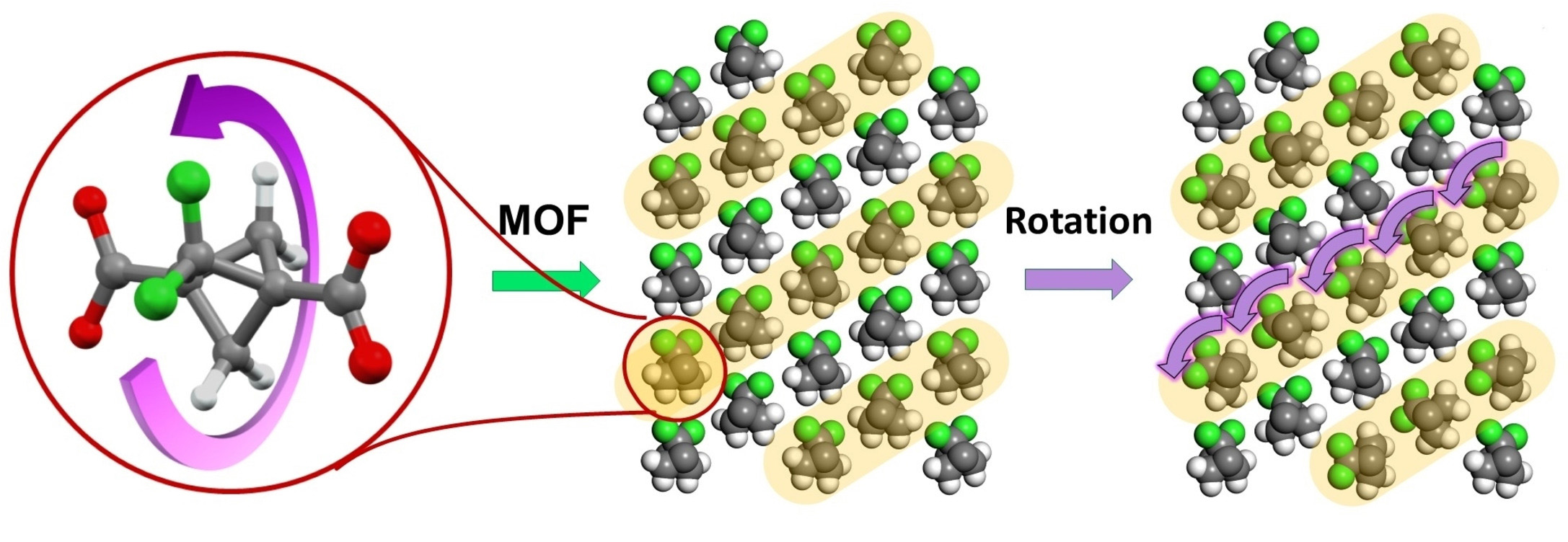 Dipolar molecular rotors in fluorinated metal-organic frameworks