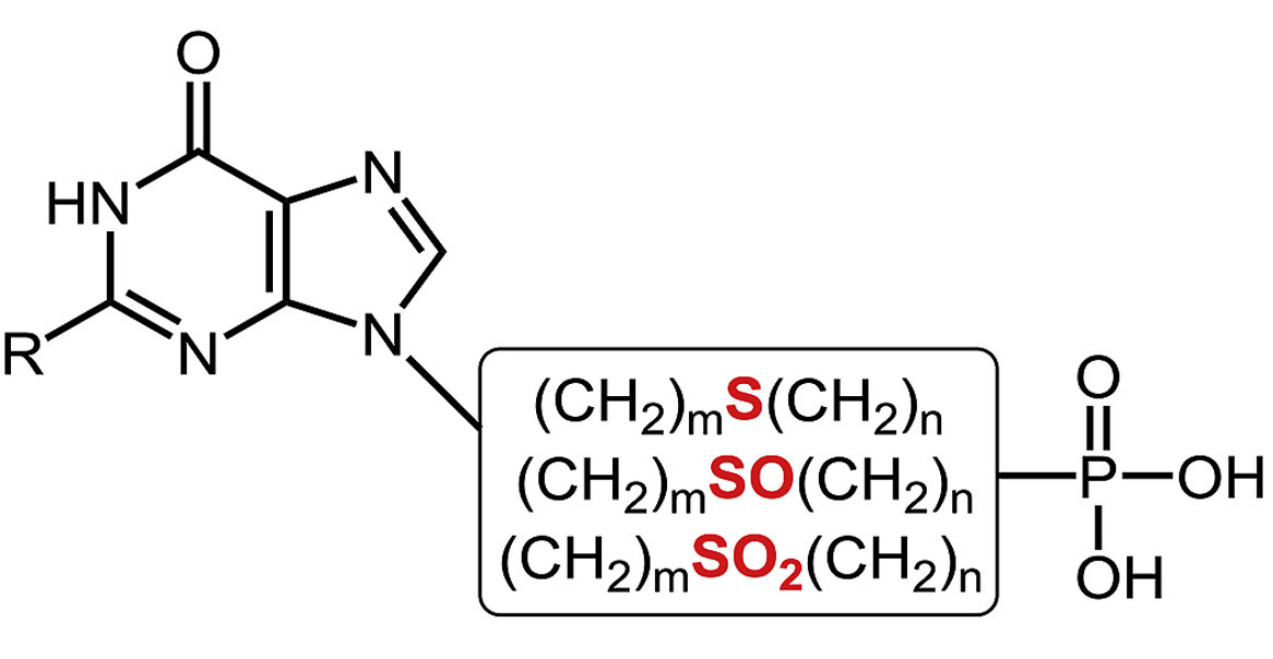 Acyclic nucleotides as potential antimalarial drugs leads