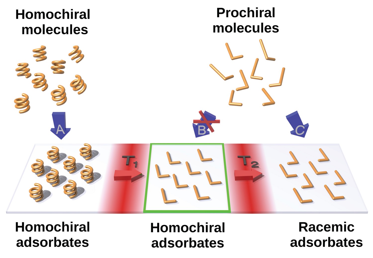 Zobrazení transformace molekul a jejich chirality v submolekulárních detailech