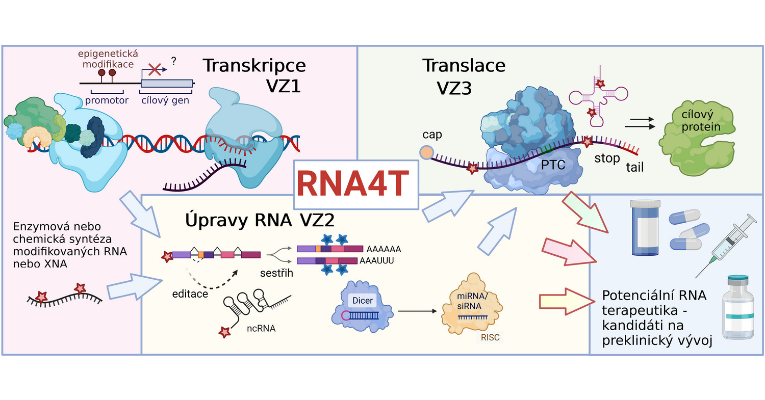 RNA4T: RNA pro terapii