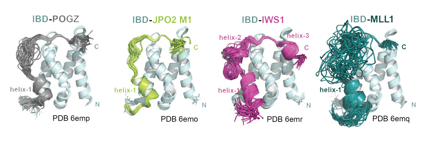 Researchers uncover a major new vulnerability of childhood leukemia