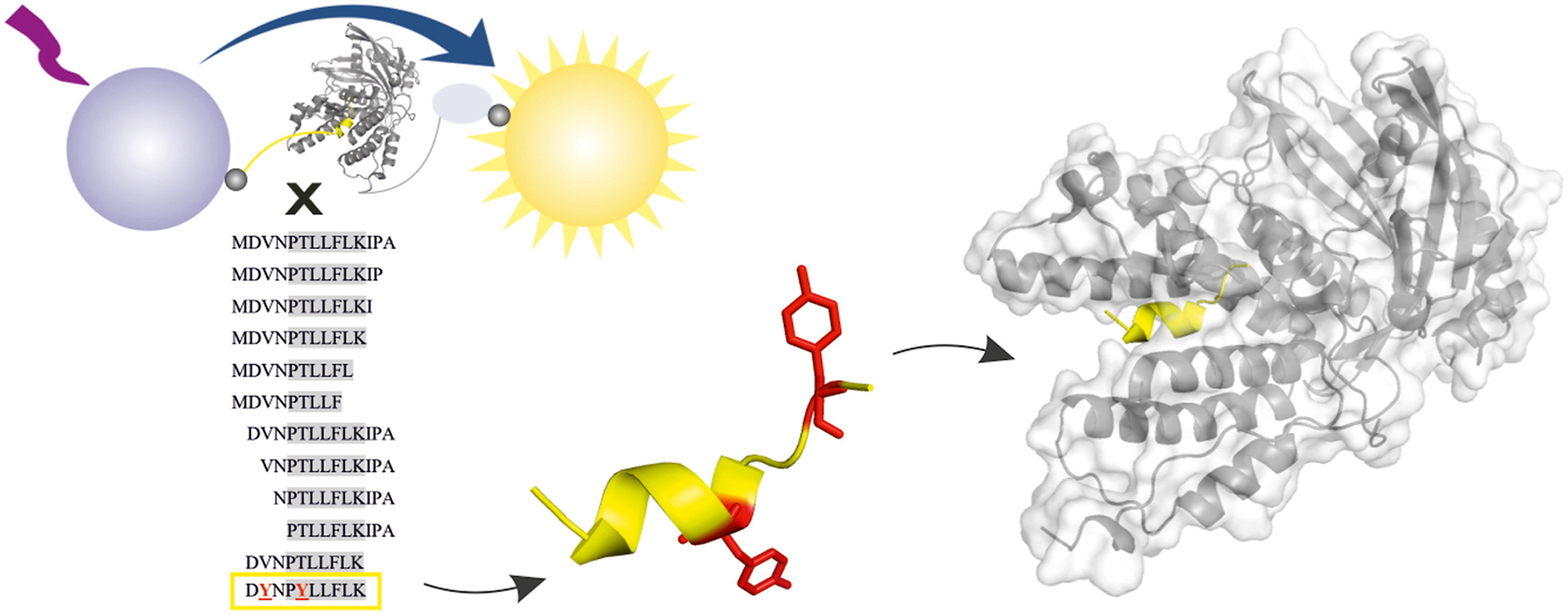 Inhibition of the protein-protein interaction in influenza polymerase PA-PB1 subunit interface